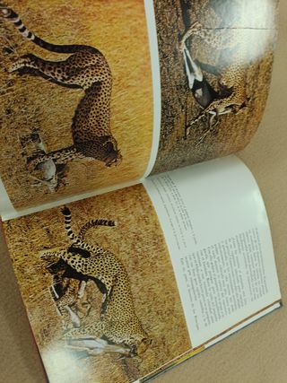 Animales Salvajes Feliz R. De la Fuente