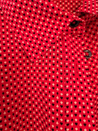 Camisa
