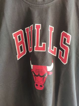 Camiseta de los Bulls
