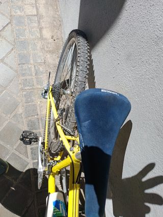 Bicicleta de montaña