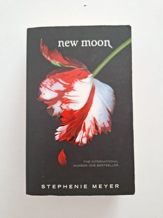 Luna Nueva (New Moon)