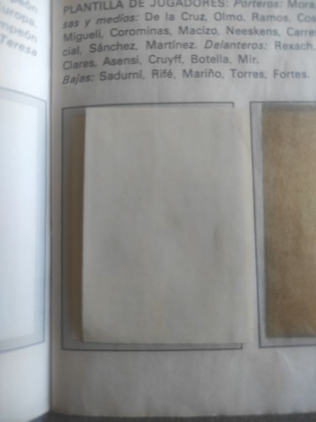 Cromo Johan Cruyff 1976-1977 ed vulcano Panini