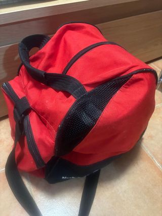Botas de esquí + bolsa