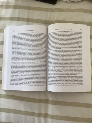 Manual los derechos fundamentales y sus garantías