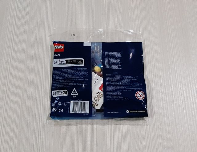 LEGO 30677 Draco In The Forbidden Forest Polybag