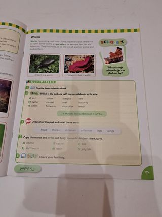 NATURAL SCIENCES 3° PRIMARIA