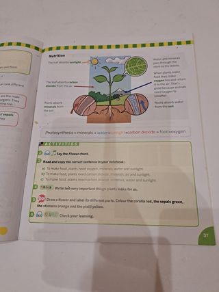 NATURAL SCIENCES 3° PRIMARIA