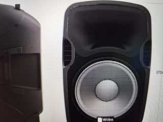 Altavox autoamplificado