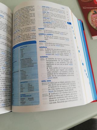 Diccionario Primaria Lengua Española