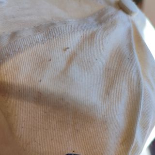 Pokemon trading cards + gorra