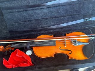 Violín Profesional 4/4