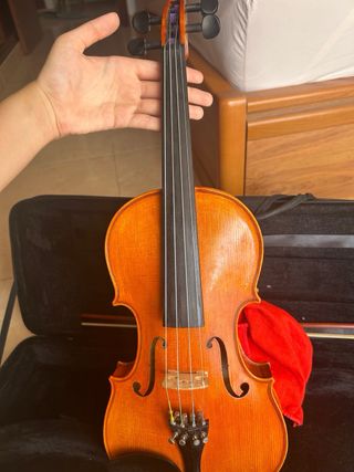 Violín Profesional 4/4