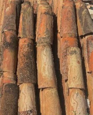 Teja Árabe Muy Buen Estado