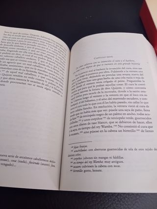 Don Quijote de La Mancha