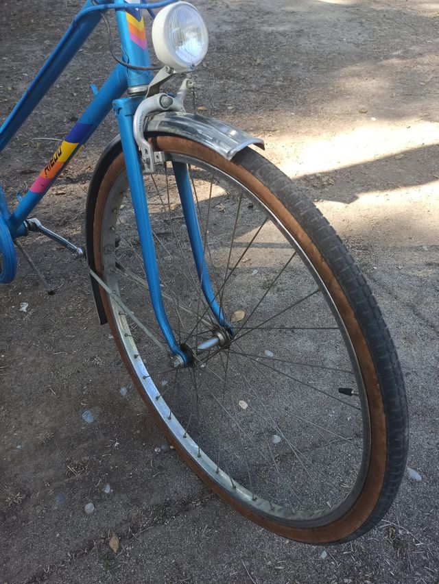 Bicicleta antigua rieju