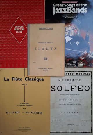 Flauta Travesera Buffet Crampon modelo 861