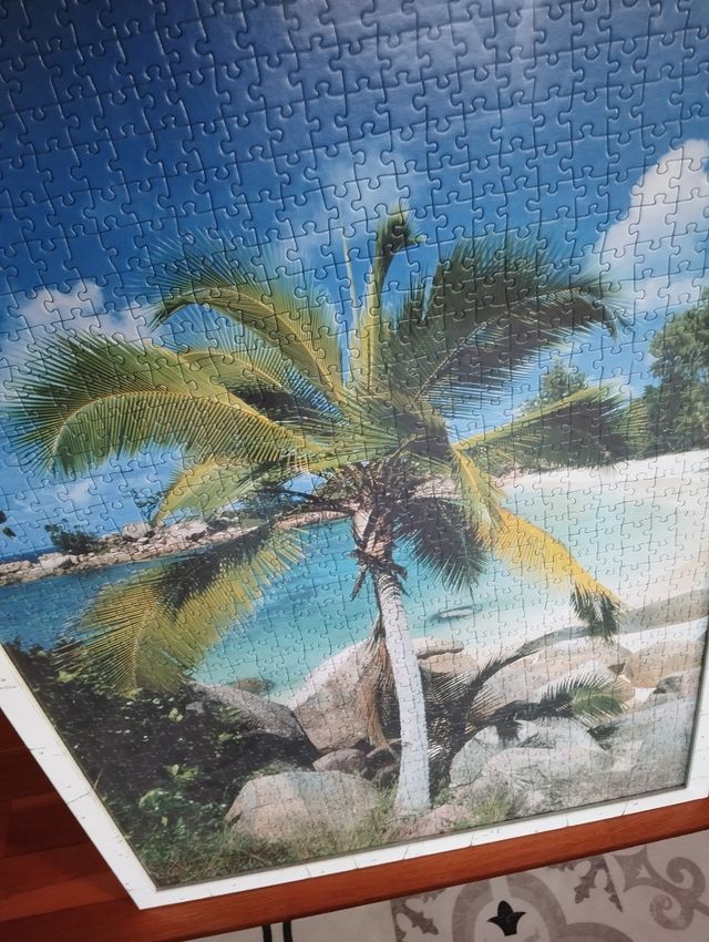 Puzzle enmarcado tropical