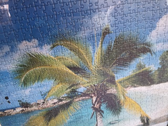 Puzzle enmarcado tropical