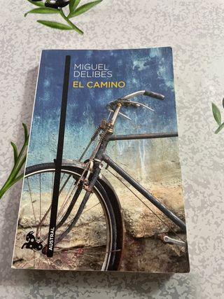 El camino Miguel Delibes