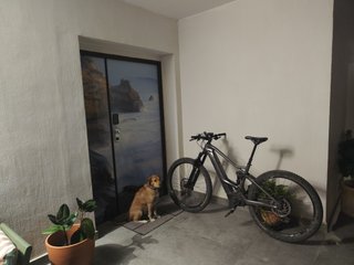E-bike Orbea Wild carbono como nueva