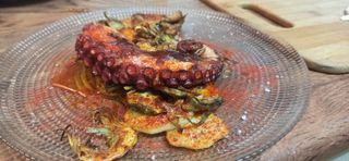 Limpiadora y cocinera
