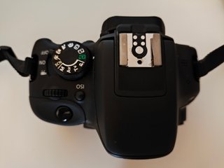 Canon 100d + Objetivos + Accesorios