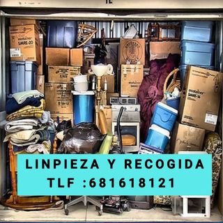 LIMPIEZA Y RETIRADA DE CUALQUIER TIPO DE MATERIAL 