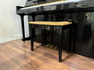 Piano acústico ( Se acepta cambio)