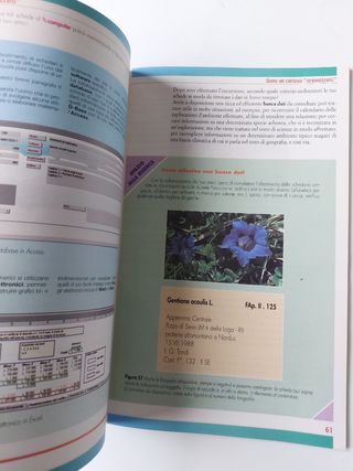 Laboratorio scienze elementari medie