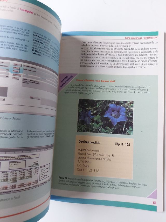 Laboratorio scienze elementari medie