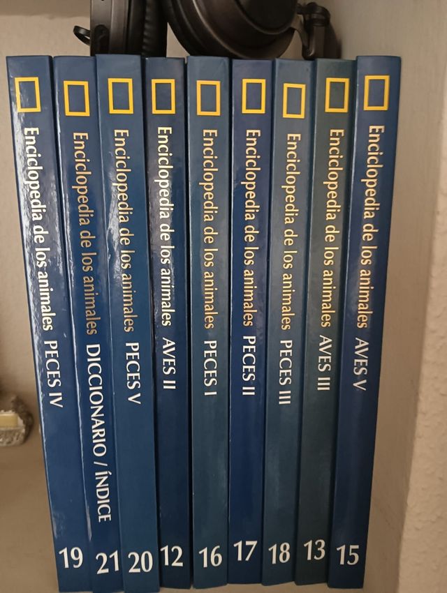 LOTE DE LIBROS VINTAGE