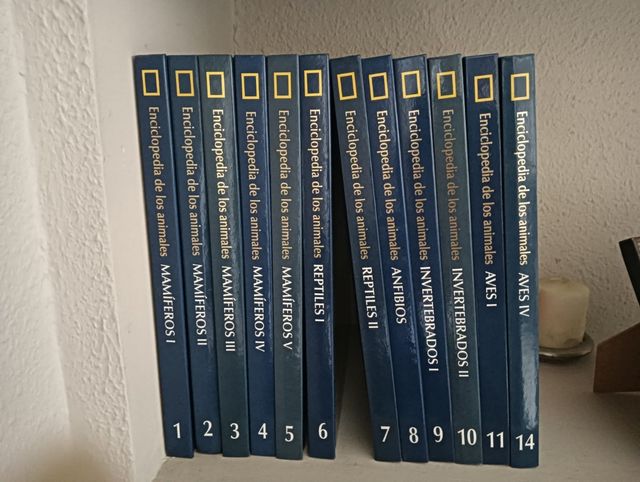 LOTE DE LIBROS VINTAGE