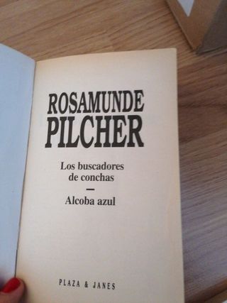 Los buscadores de conchas