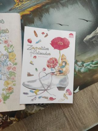 Zapatitos plateados 