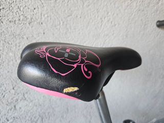 Bicicleta 24 pulgadas