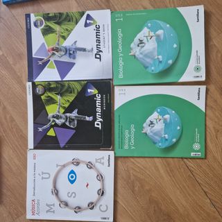 Libros santillana primaria