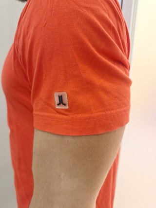 Camiseta wesc