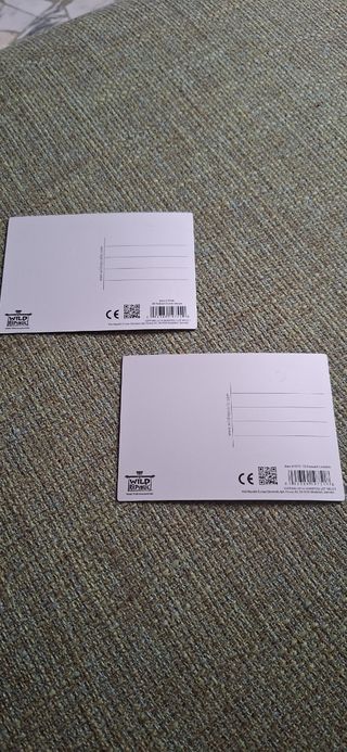 Set 2 cartoline pappagalli