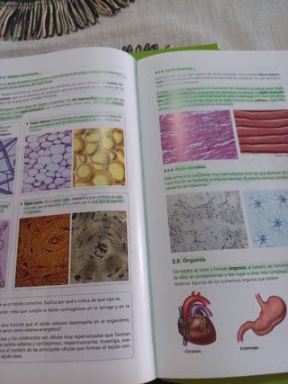 Libros Biología y Geología 3 ESO