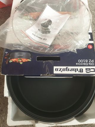 Olla electrica modelo PZ 8100