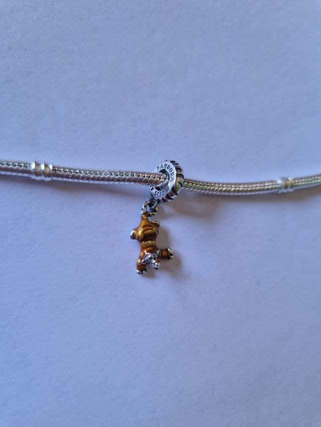 Charm Winnie the pooh