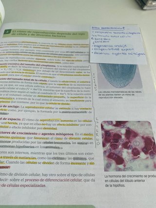 Biologia 2 Bachillerato Santillana