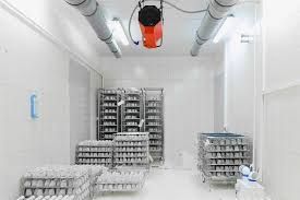 MONTAJE CÁMARAS FRIGORÍFICAS