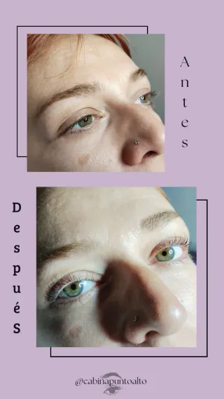 Lifting de pestañas + tinte + nutrición + regalo