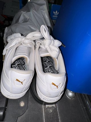 Zapatillas
