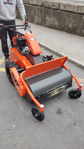 Desbrozadora de martillos 302cc