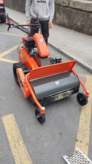 Desbrozadora de martillos 302cc