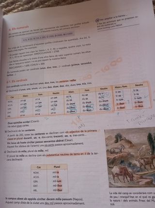 Libro de latín, en catalan