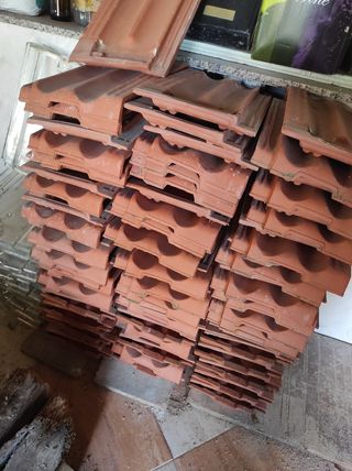 Tejas