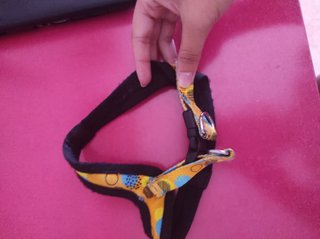 Arnés para perros
